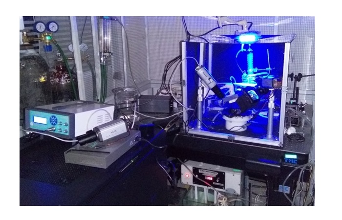 Optical Mapping System